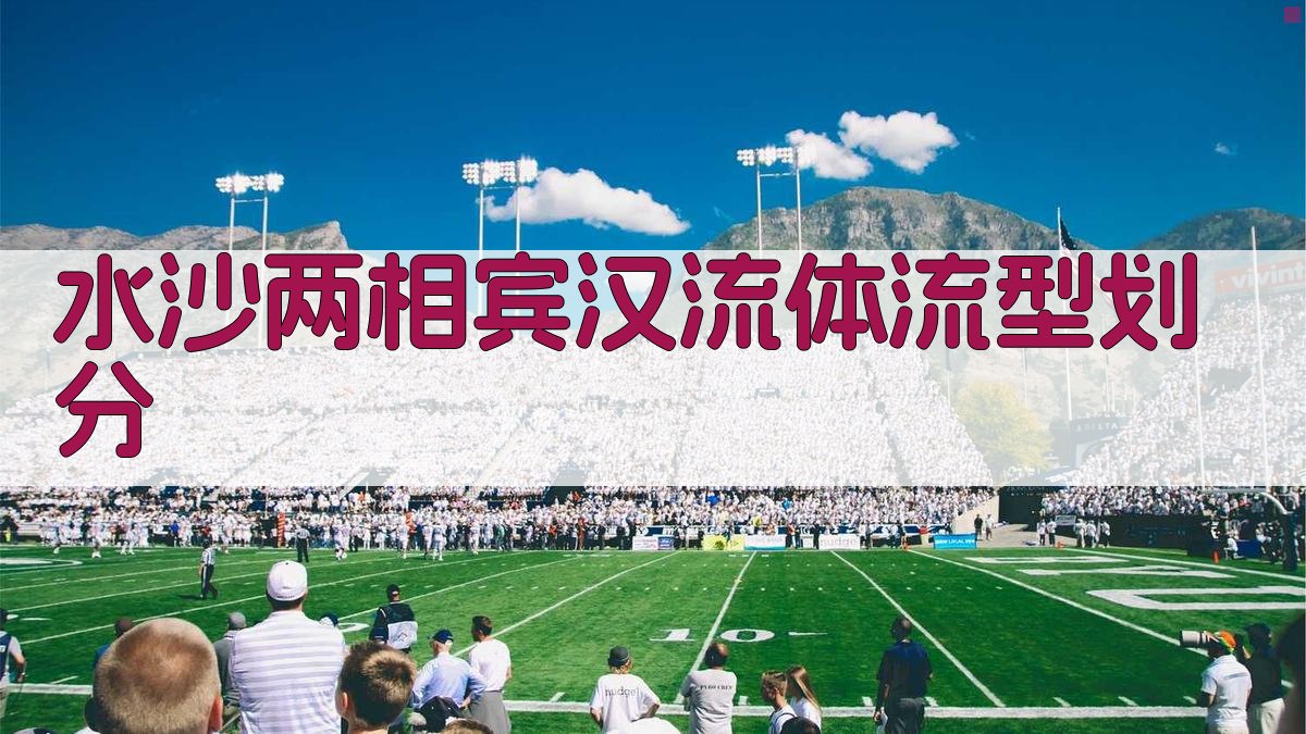 水沙两相宾汉流体流型划分