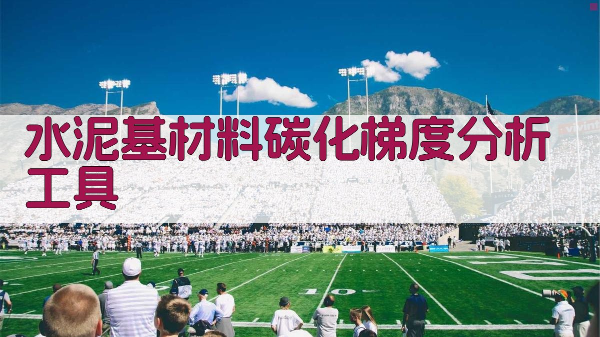 水泥基材料碳化梯度分析工具