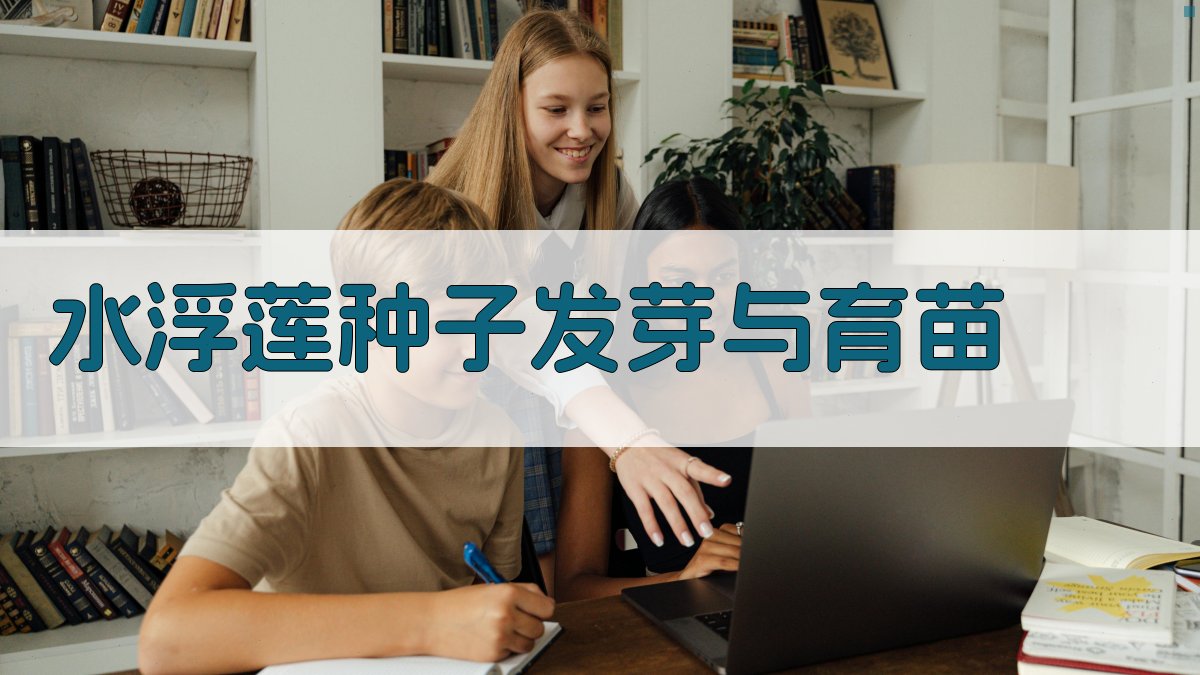 AI水浮莲种子发芽与育苗管理助手