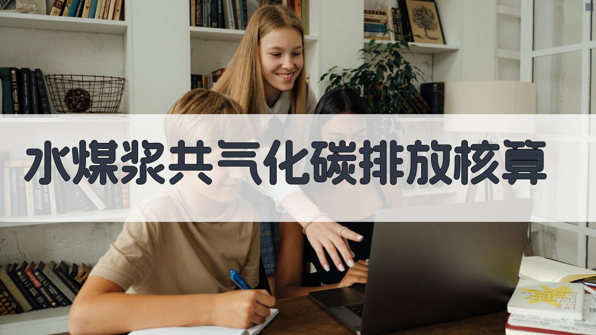 水煤浆/有机废物共气化碳排放核算