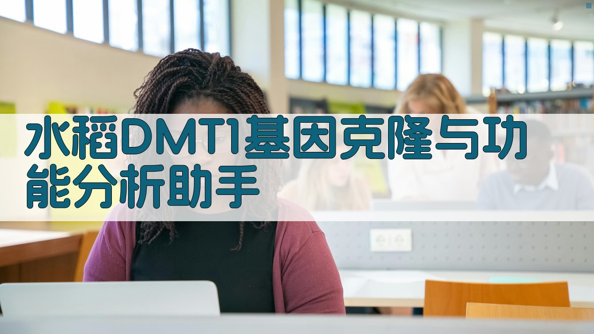 水稻DMT1基因克隆与功能分析助手