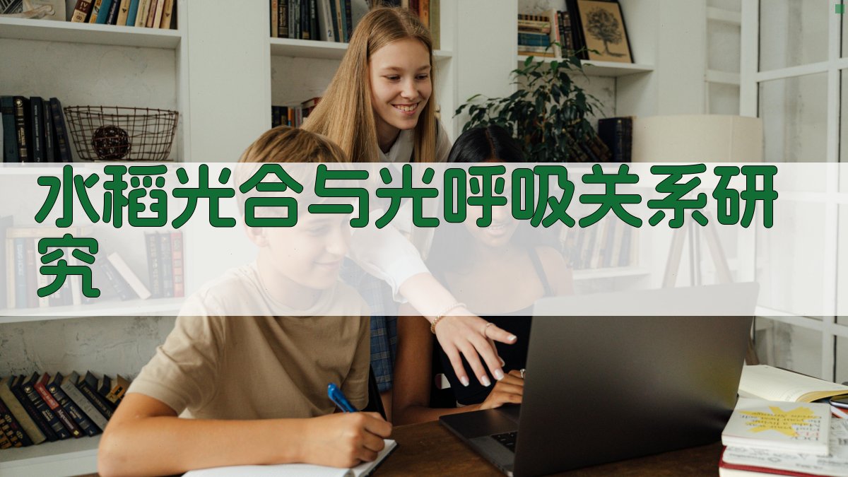 水稻光合与光呼吸关系研究