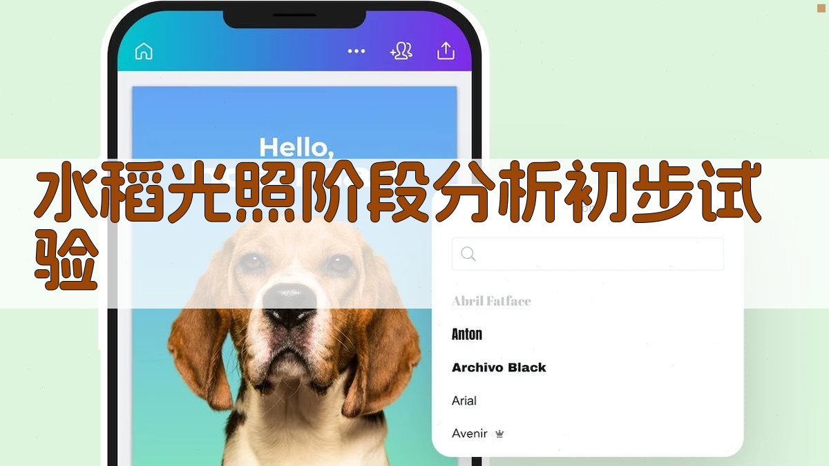 水稻光照阶段分析初步试验