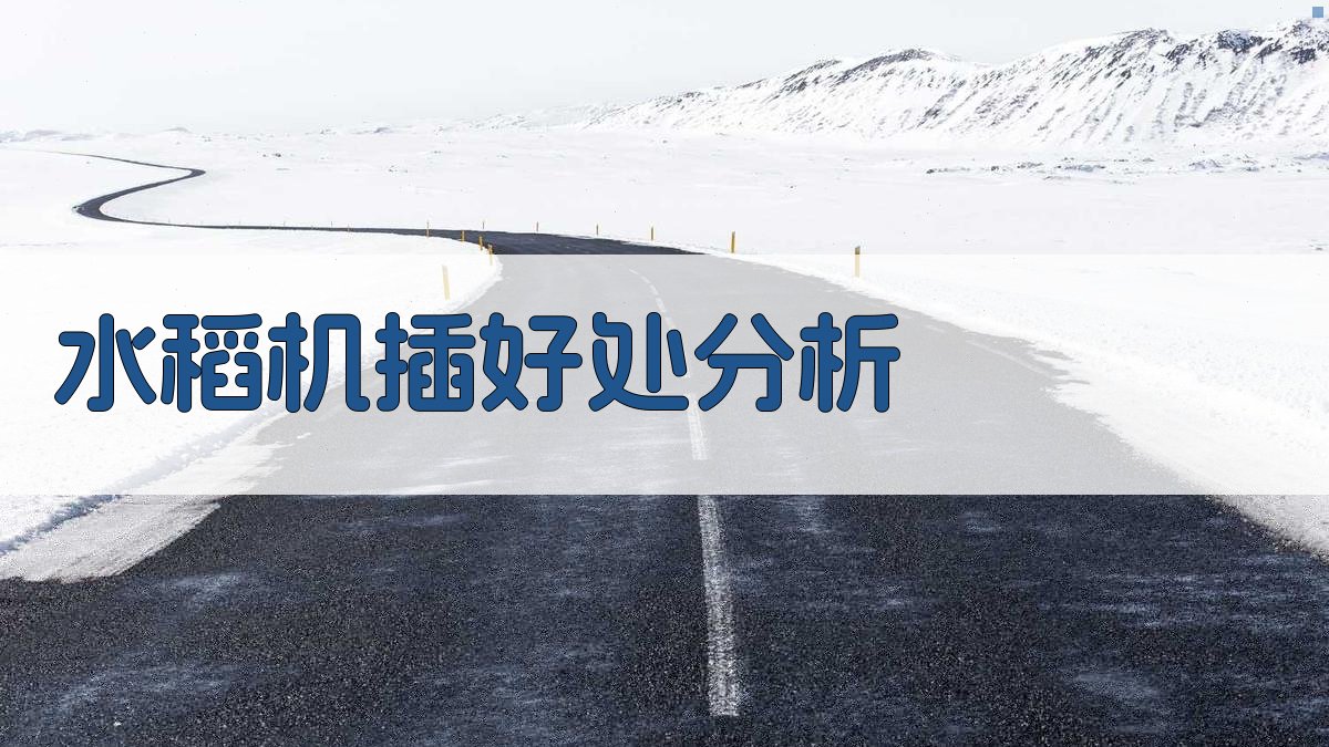 AI水稻机插好处分析