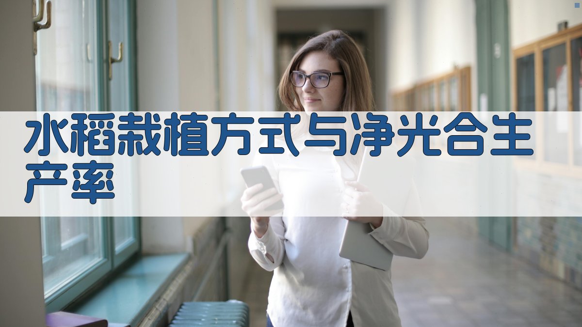 水稻栽植方式与净光合生产率分析工具