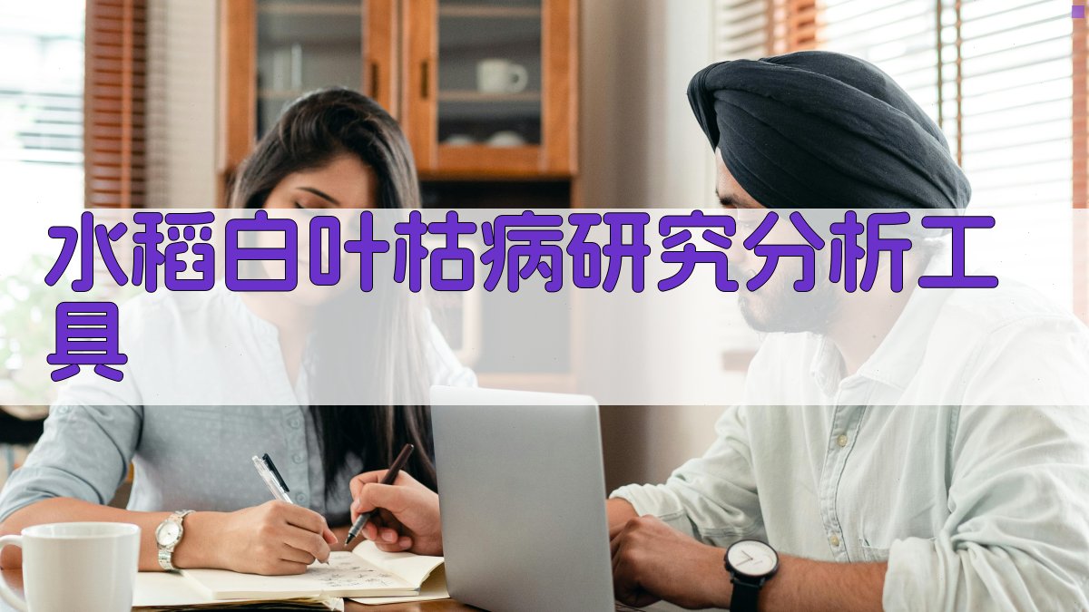 AI水稻白叶枯病研究分析工具