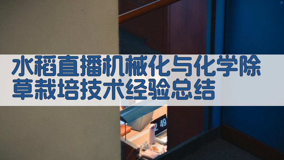 AI一键生成水稻直播机械化与化学除草栽培技术经验总结