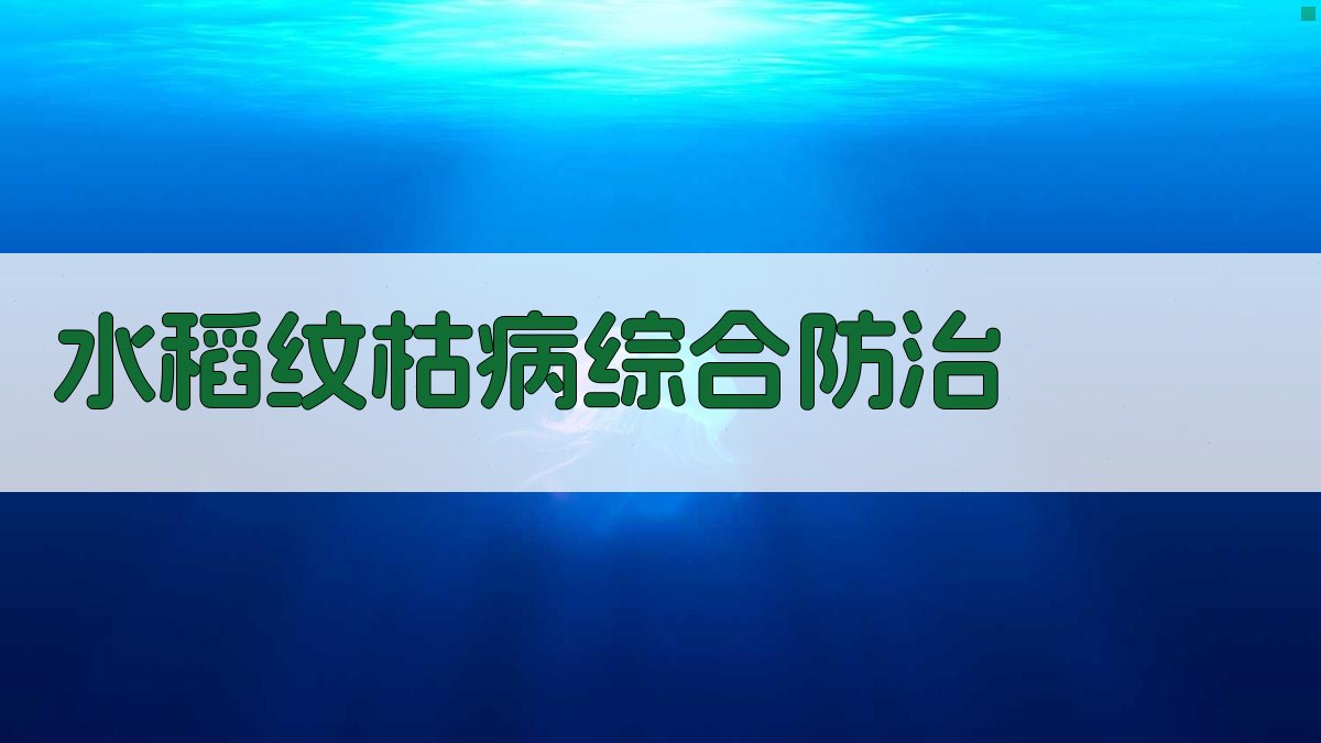 AI水稻纹枯病综合防治策略