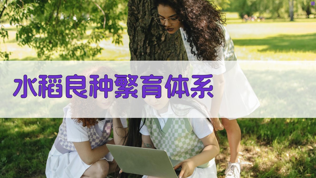 水稻良种繁育体系分析