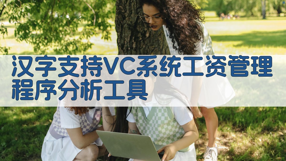 汉字支持VC系统工资管理程序分析工具
