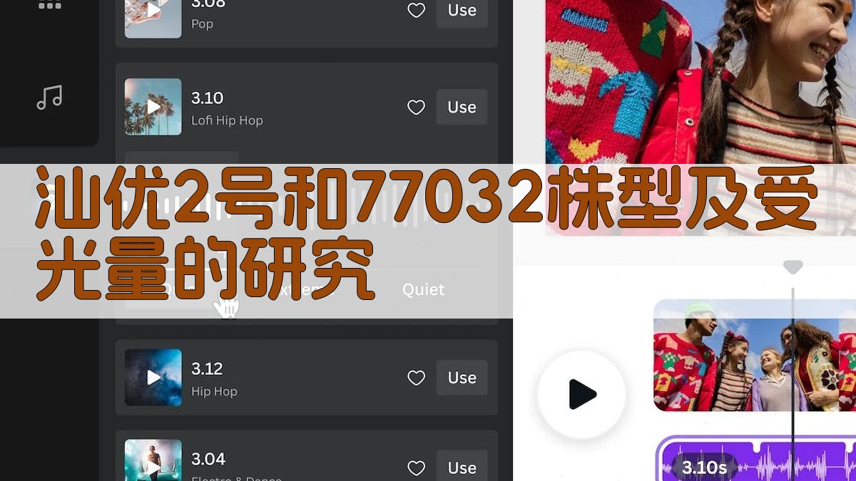 汕优2号和77032株型研究