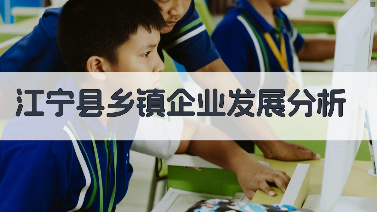 江宁县乡镇企业发展分析
