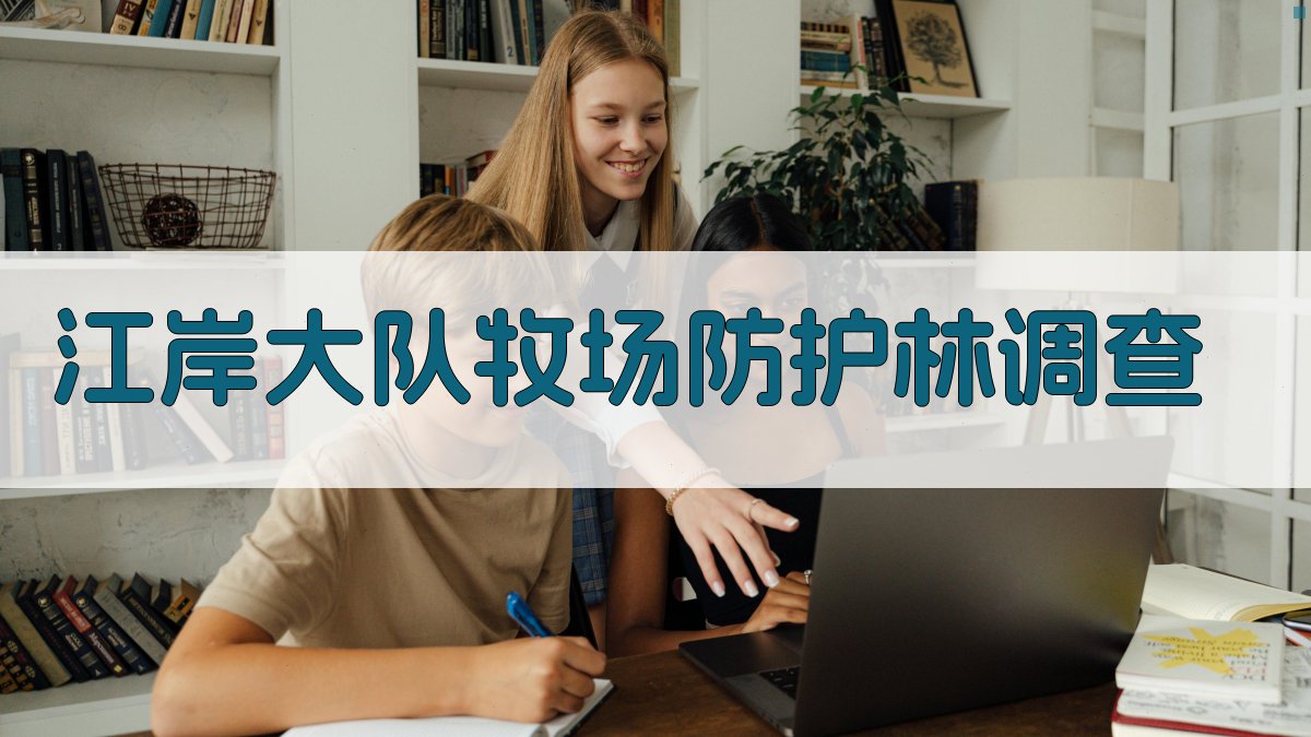 江岸大队牧场防护林调查