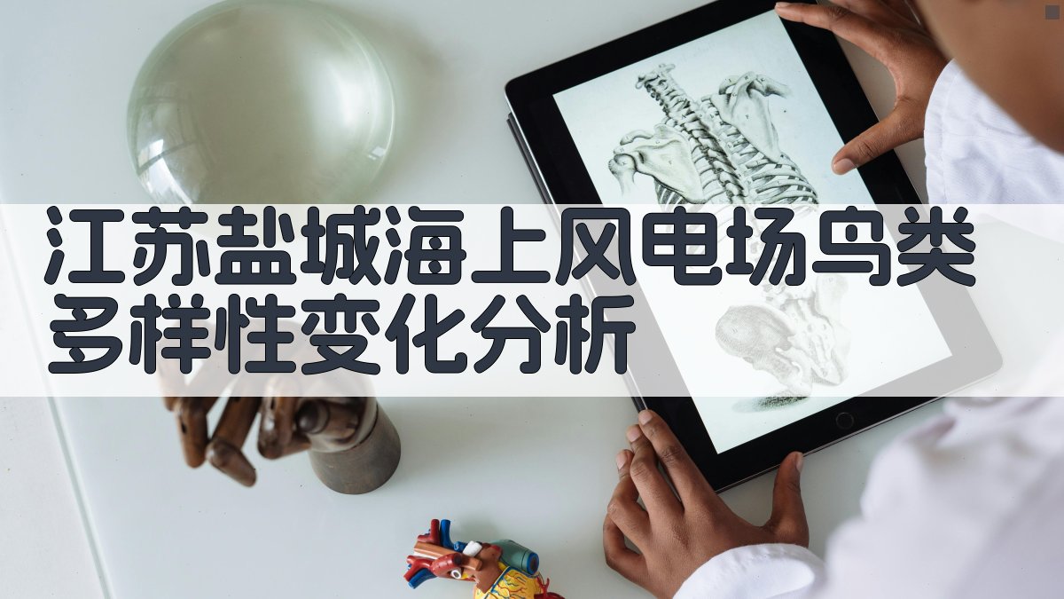 江苏盐城海上风电场鸟类多样性变化分析