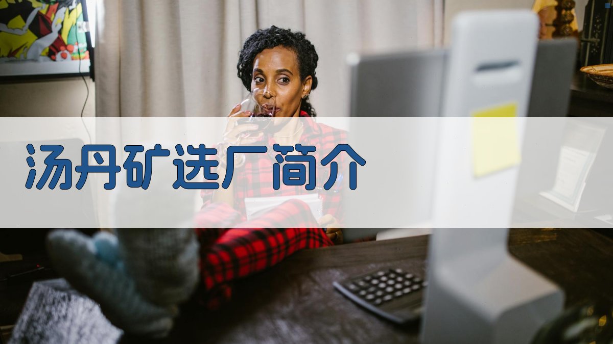 汤丹矿选厂简介