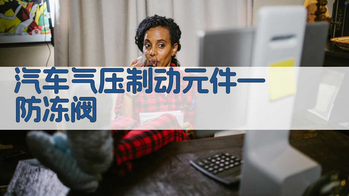 汽车气压制动元件—防冻阀