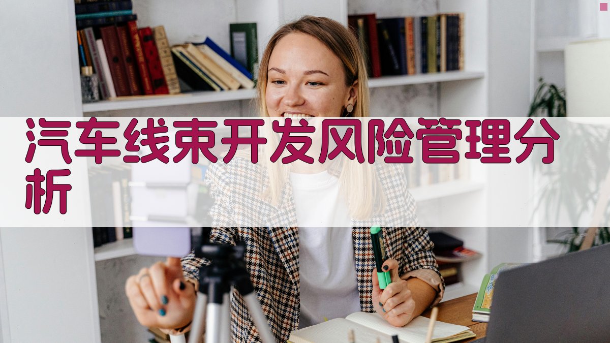 汽车线束开发风险管理分析