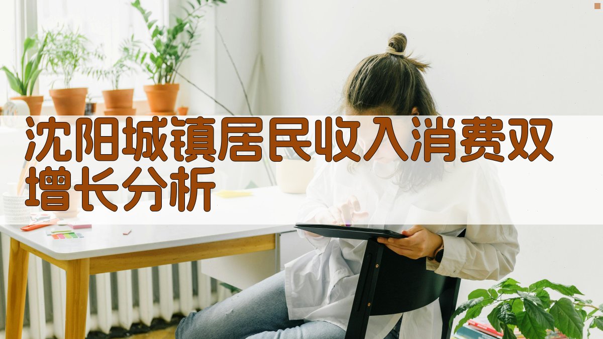 沈阳城镇居民收入消费双增长分析