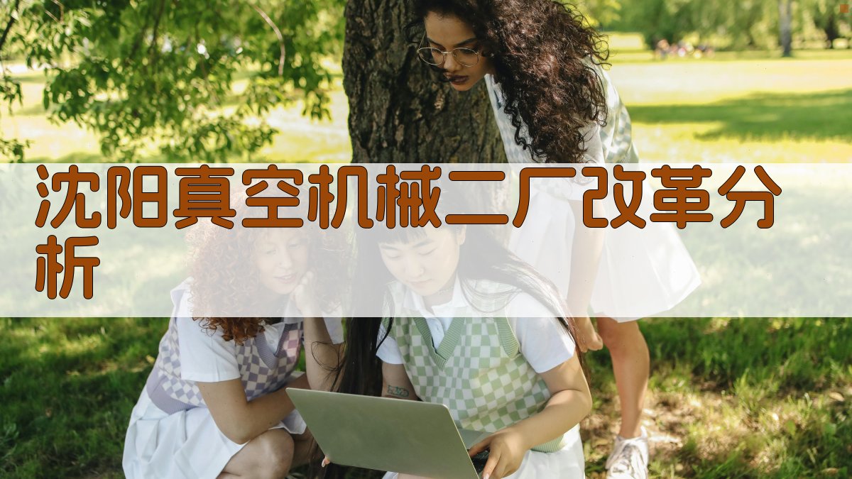 沈阳真空机械二厂改革进程分析