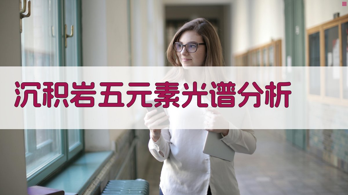 沉积岩五元素光谱分析