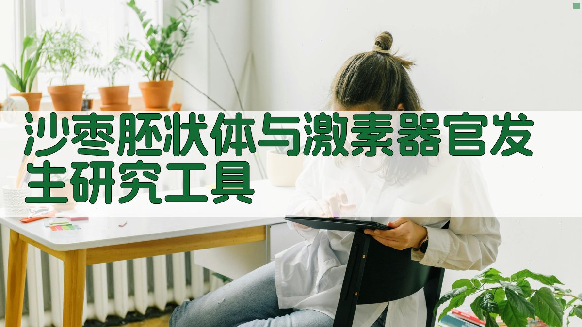 沙枣胚状体与激素器官发生研究工具