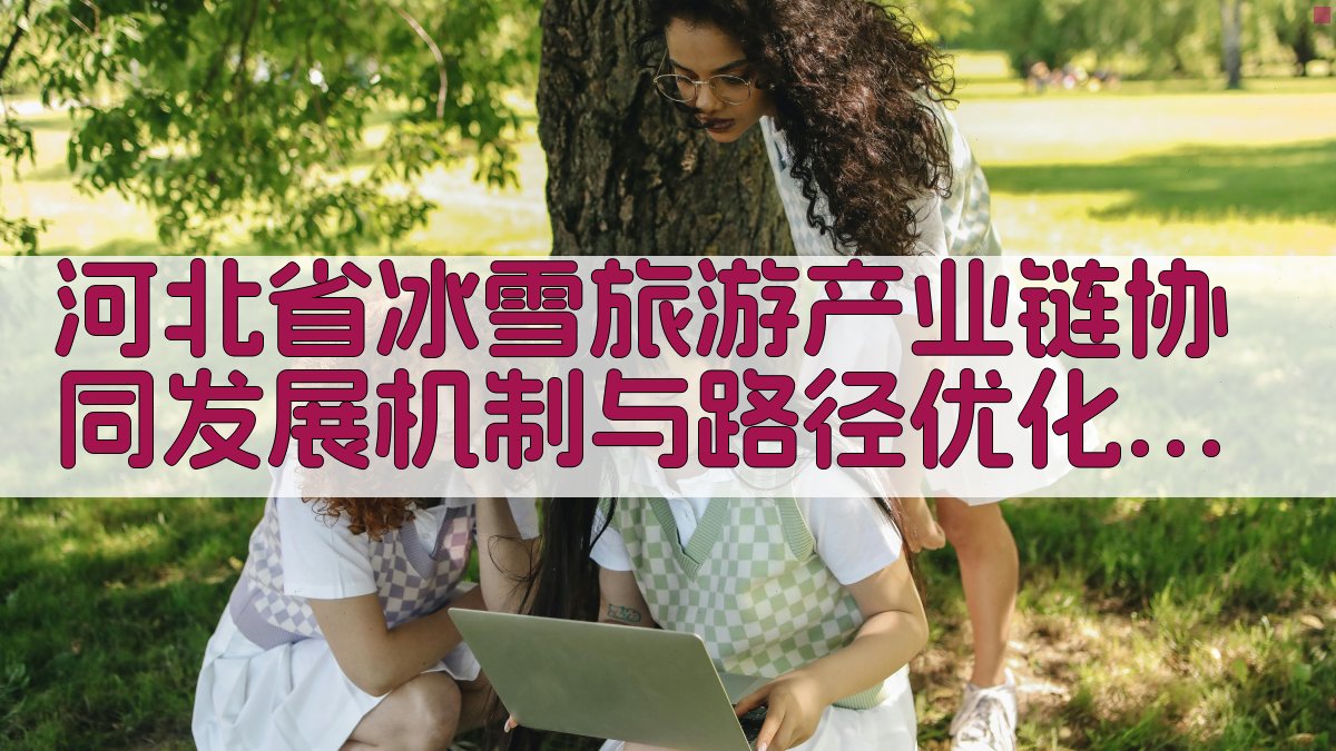 河北省冰雪旅游产业链协同发展机制与路径优化研究助手