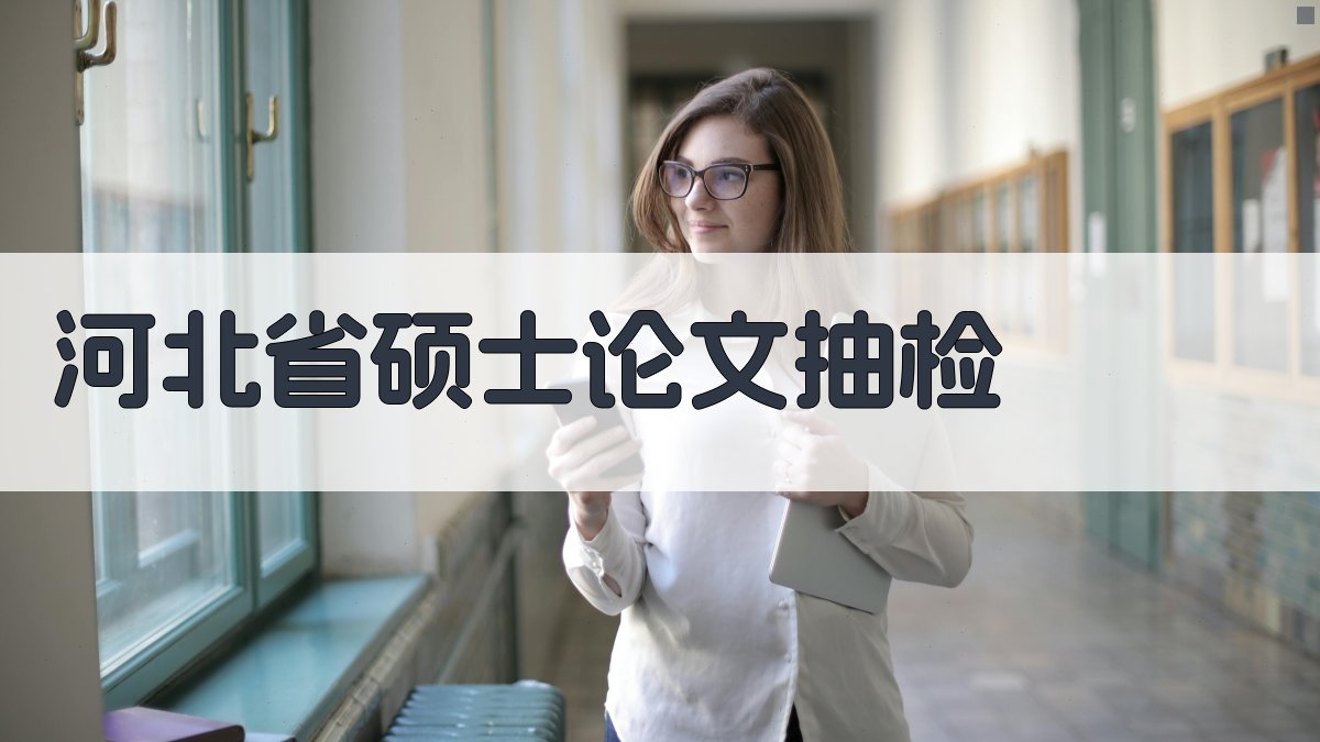 河北省硕士论文抽检AI分析助手