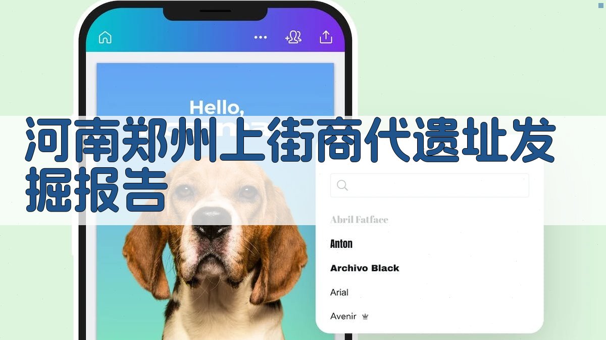 河南郑州上街商代遗址发掘报告