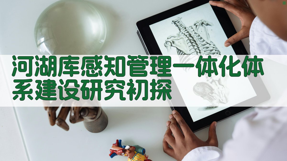 河湖库感知管理一体化体系建设研究初探