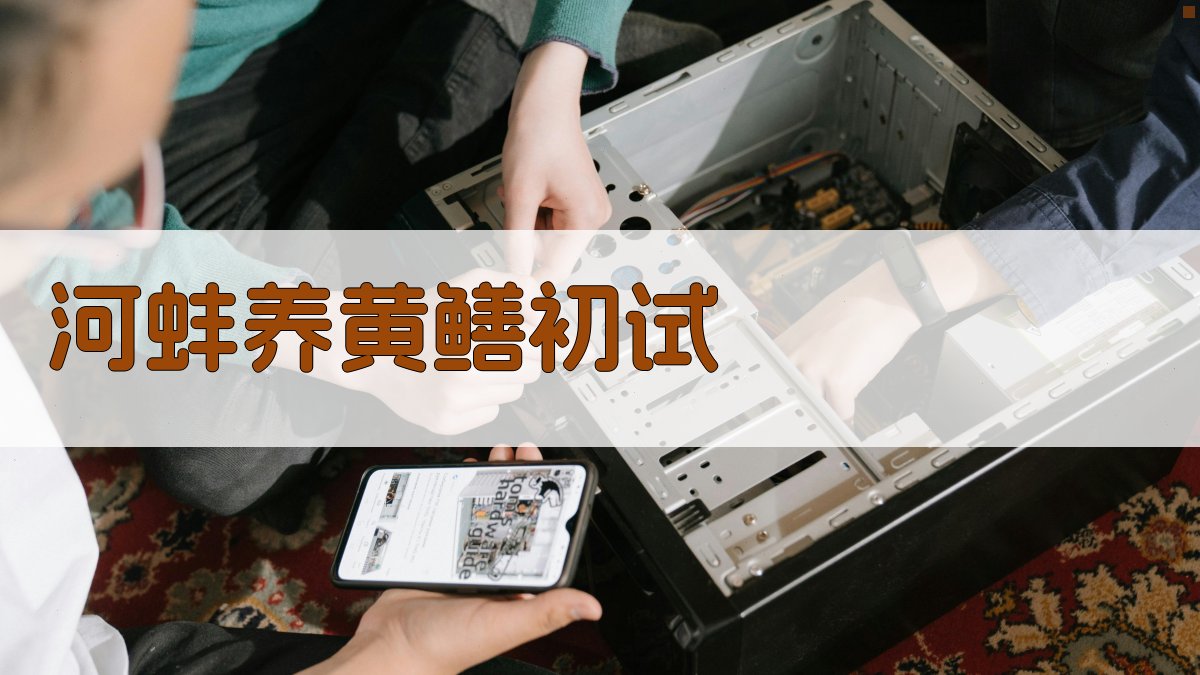 河蚌养黄鳝初试