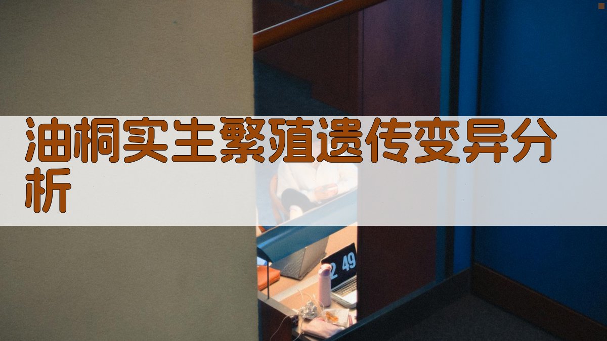 油桐实生繁殖遗传变异分析