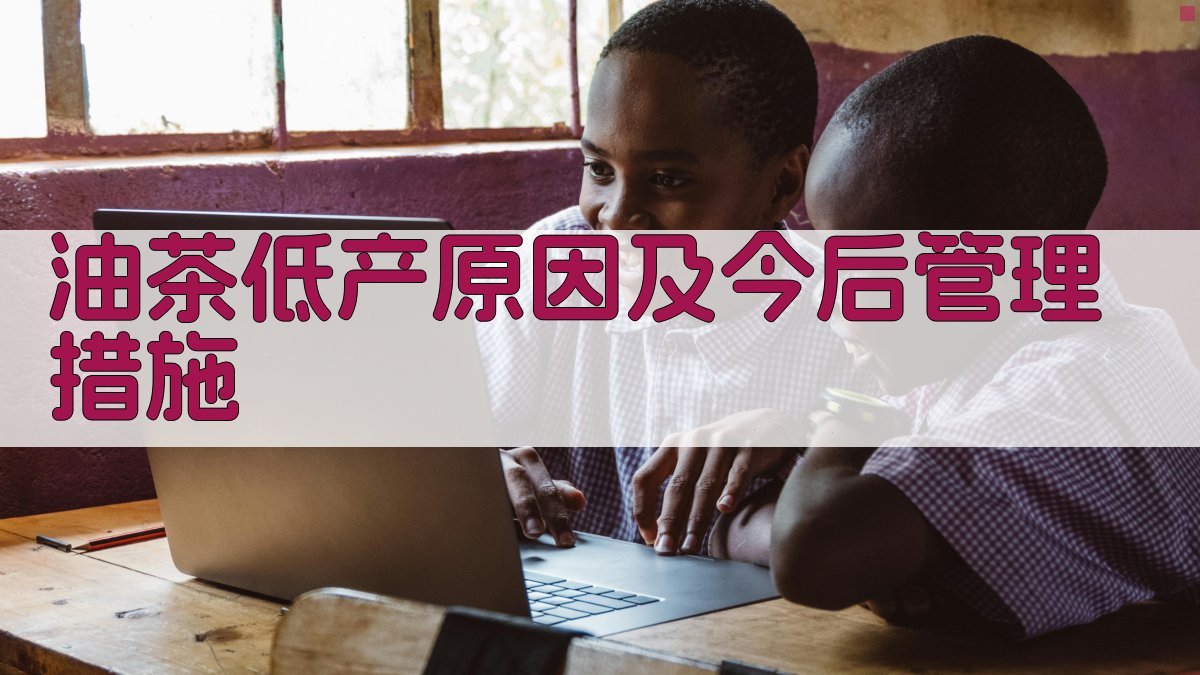 油茶低产原因及今后管理措施