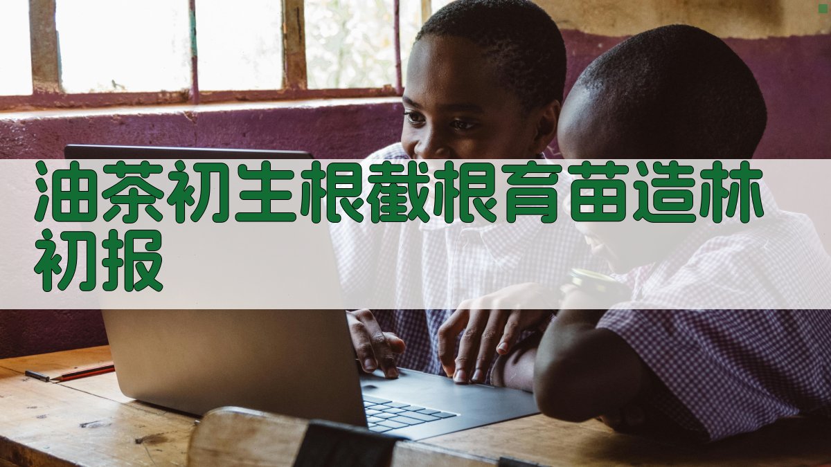 油茶初生根截根育苗造林初报