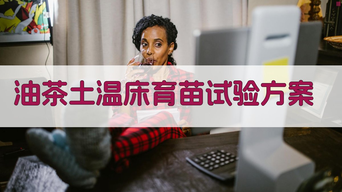 AI智能油茶土温床育苗试验方案生成器