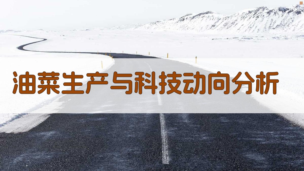 AI油菜生产与科技动向分析