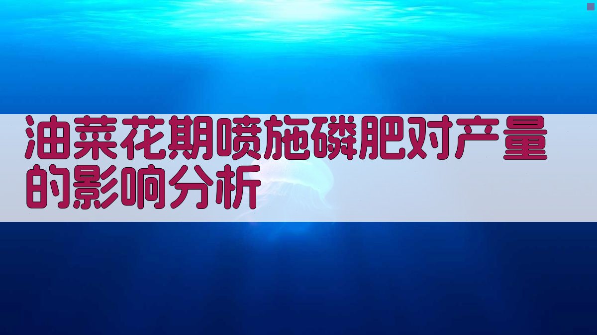 油菜花期喷施磷肥对产量的影响分析