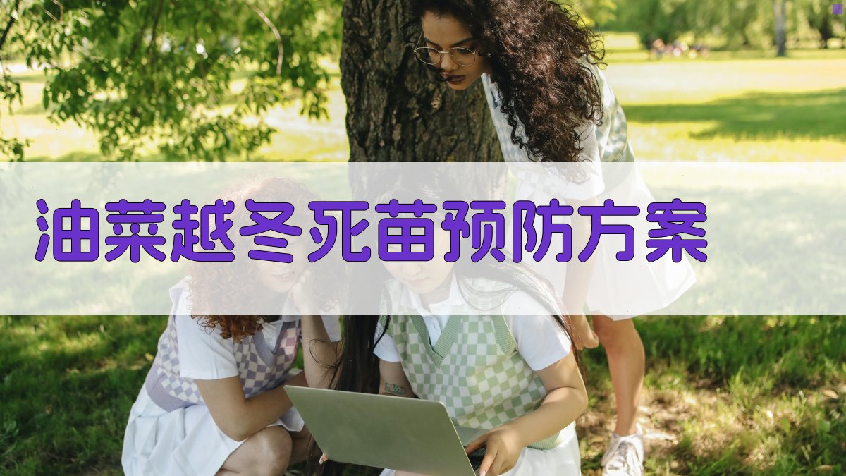 AI智能油菜越冬死苗预防方案生成器