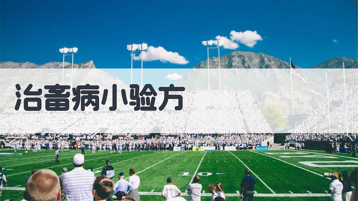 AI治畜病小验方生成器