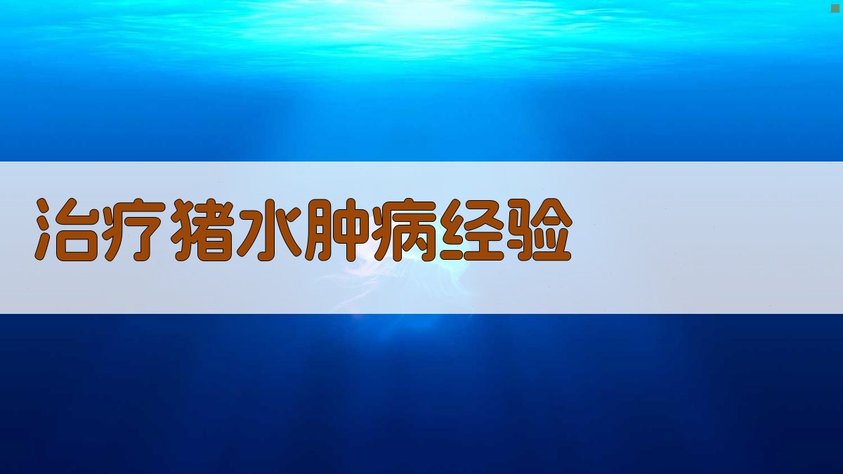 AI治疗猪水肿病经验生成器