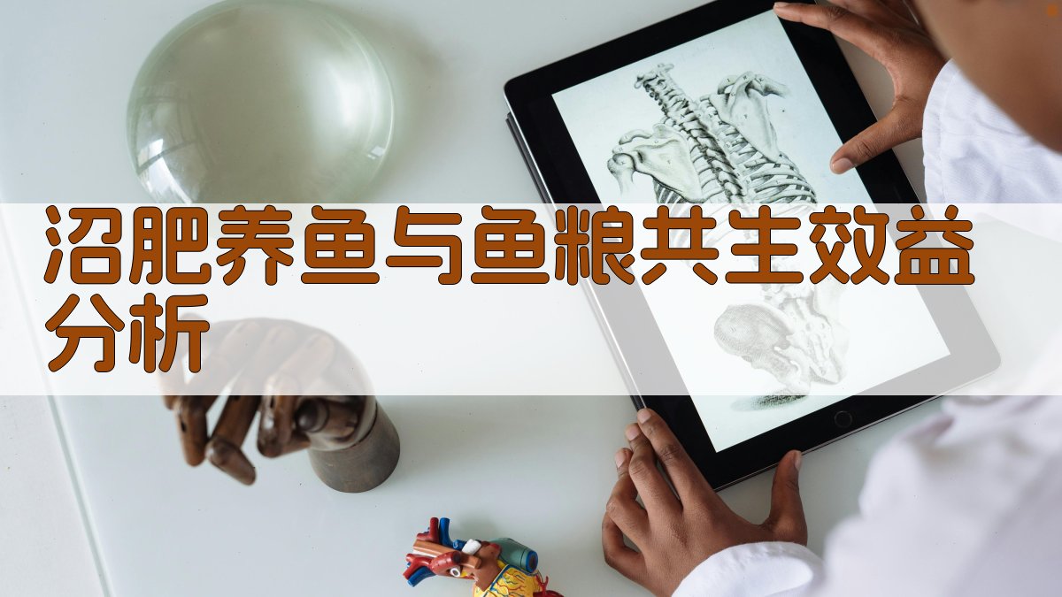 沼肥养鱼与鱼粮共生效益分析