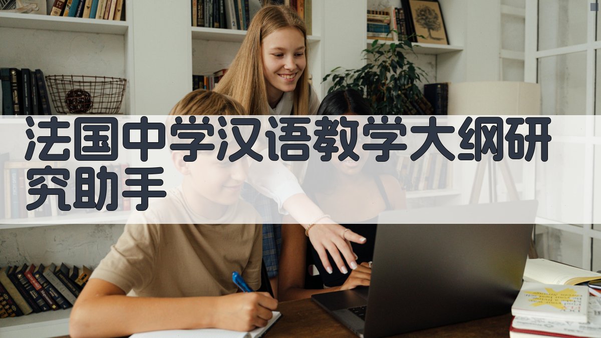 法国中学汉语教学大纲研究助手