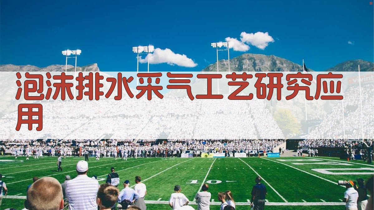 AI泡沫排水采气工艺研究应用分析