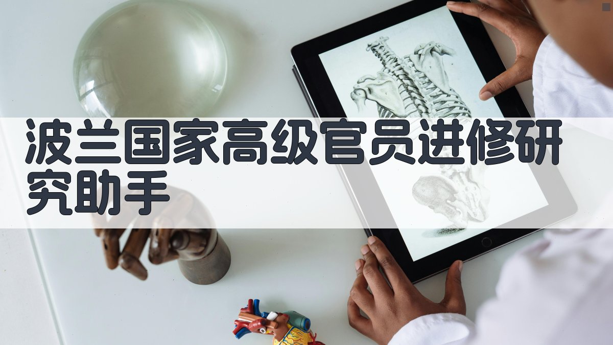波兰国家高级官员进修研究助手