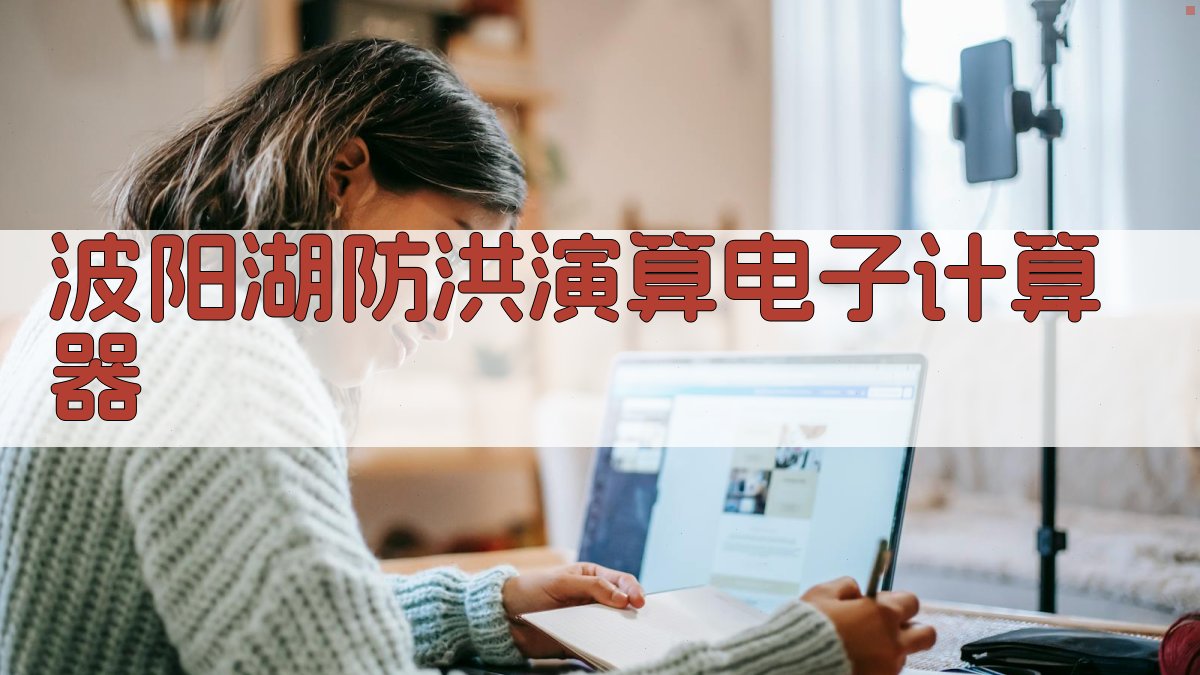 波阳湖防洪演算电子计算器