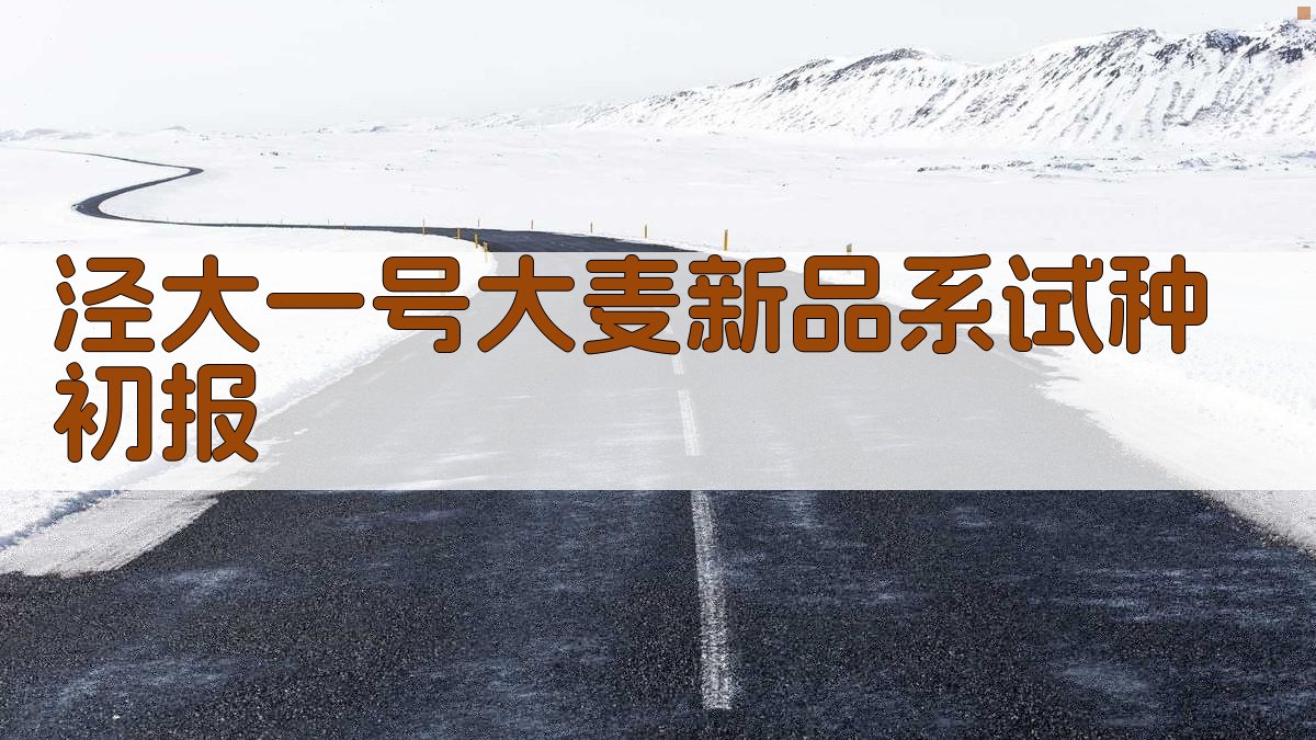 泾大一号大麦新品系试种初报