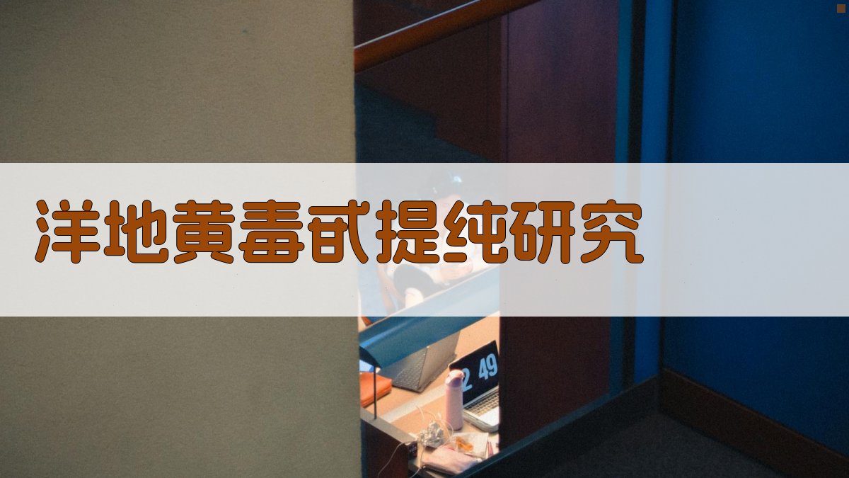 AI洋地黄毒甙提纯研究结构生成器