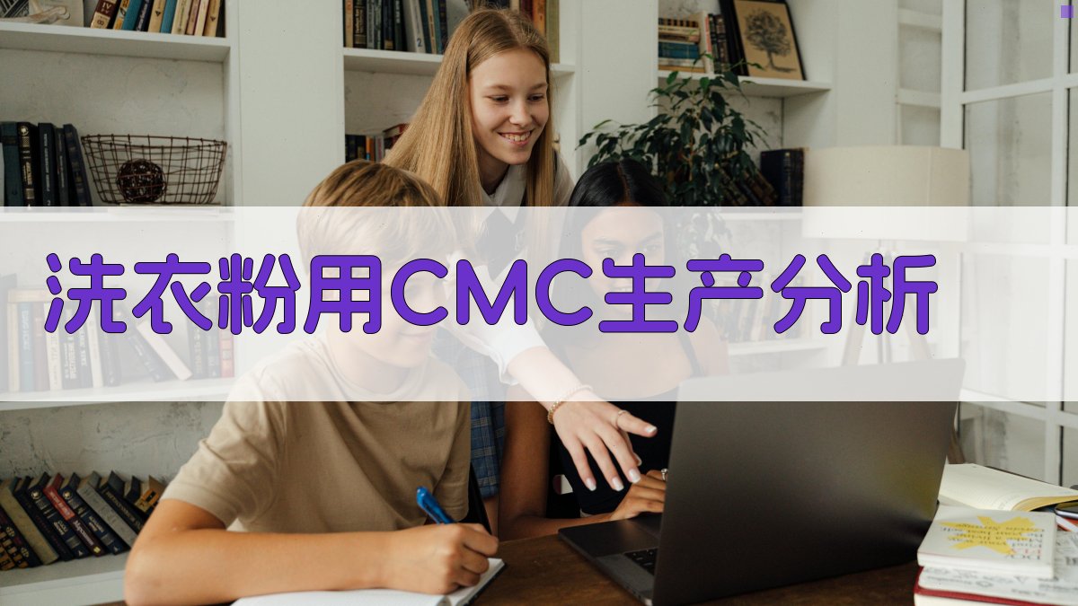 洗衣粉用CMC生产分析
