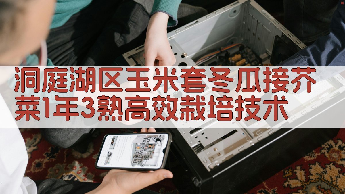 洞庭湖区玉米套冬瓜接芥菜1年3熟高效栽培技术