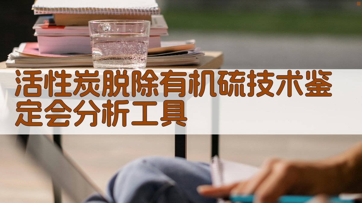 活性炭脱除有机硫技术鉴定会分析工具