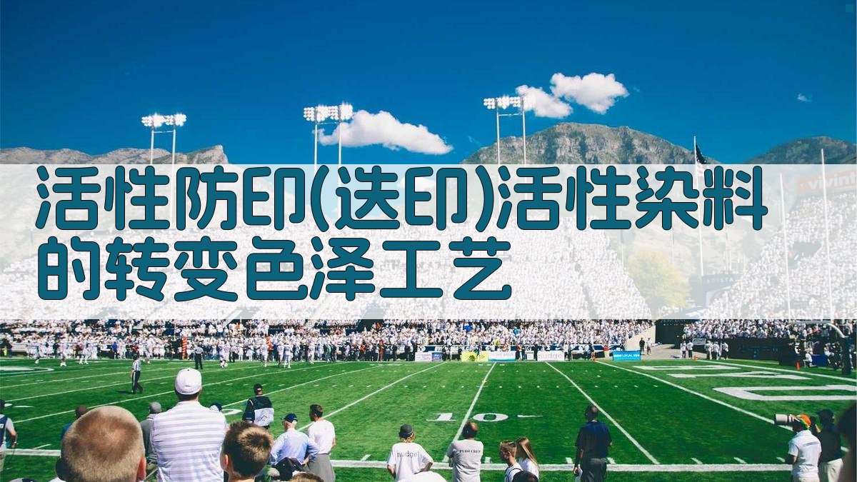 活性防印工艺助手